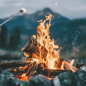 Meet your Posher, Riannah